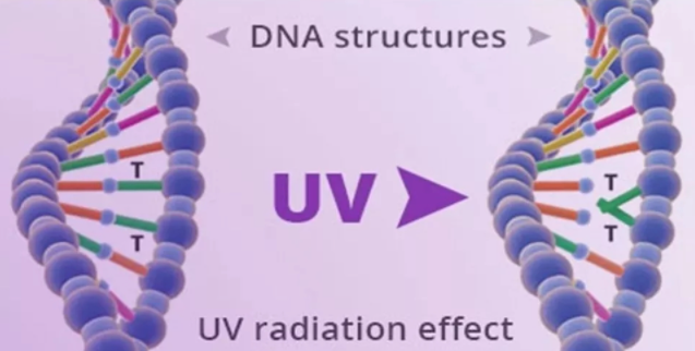 1624272565.png QQ截圖20210603171558.png